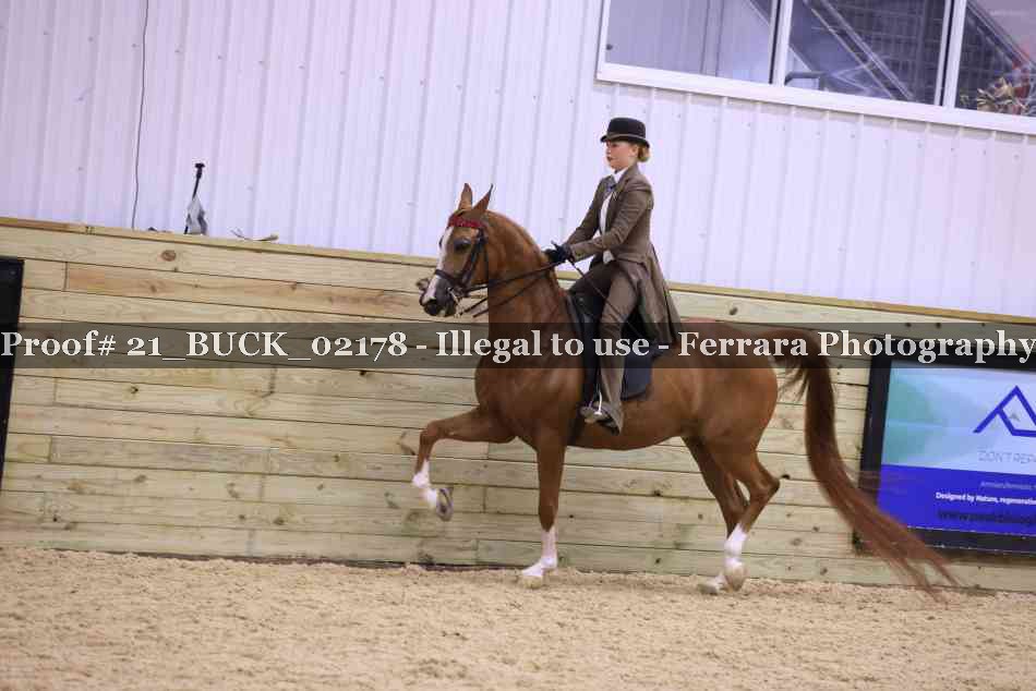 Proof 21_BUCK_02178