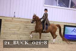 21_BUCK_02178 proof