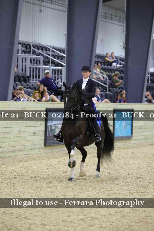 Proof 21_BUCK_02184