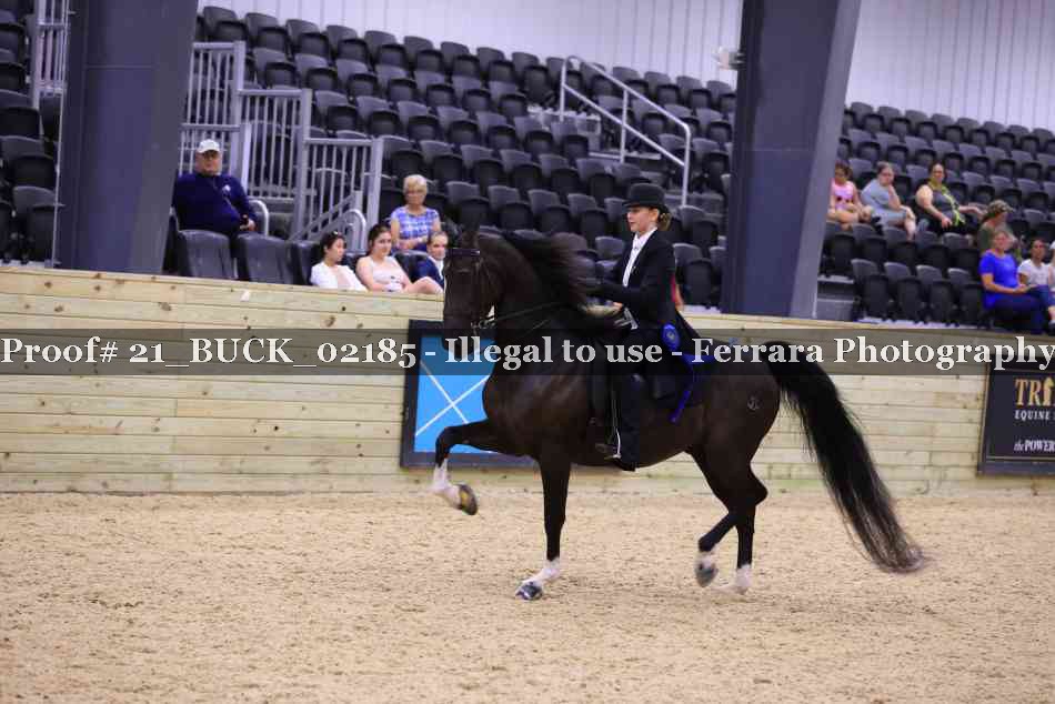 Proof 21_BUCK_02185