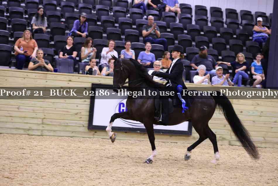 Proof 21_BUCK_02186