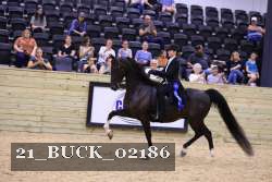 21_BUCK_02186 proof