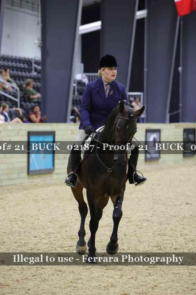 Proof 21_BUCK_02187