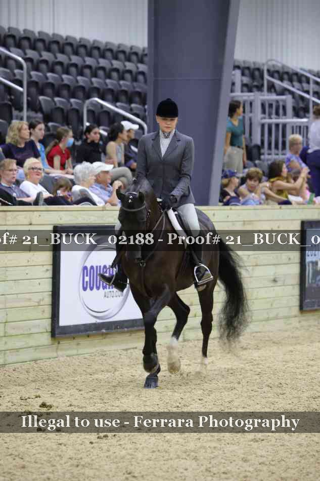Proof 21_BUCK_02188