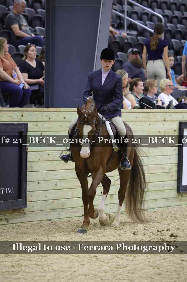 Proof 21_BUCK_02190