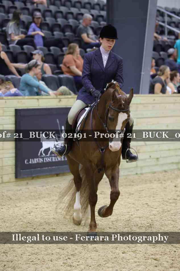 Proof 21_BUCK_02191