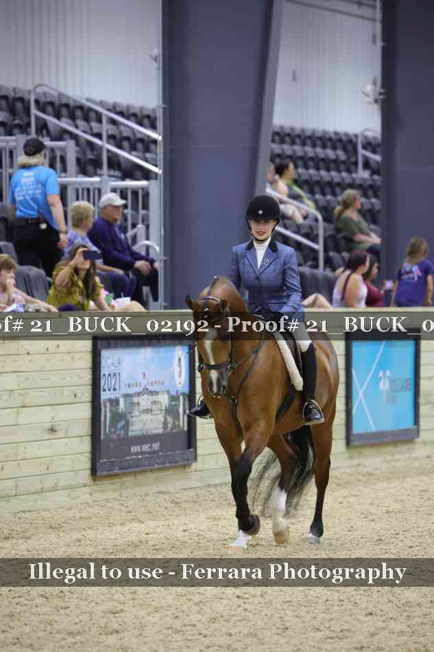 Proof 21_BUCK_02192
