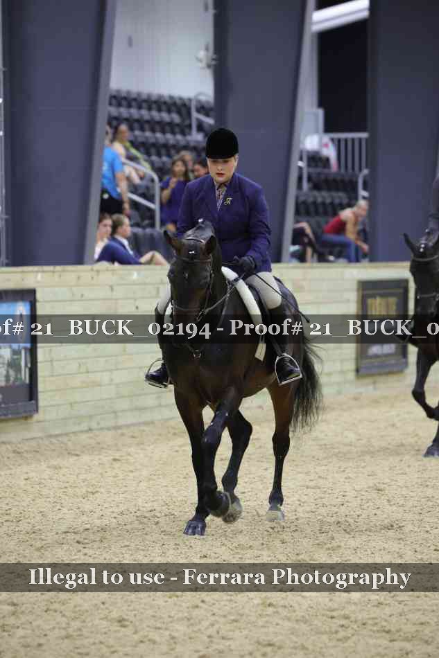 Proof 21_BUCK_02194