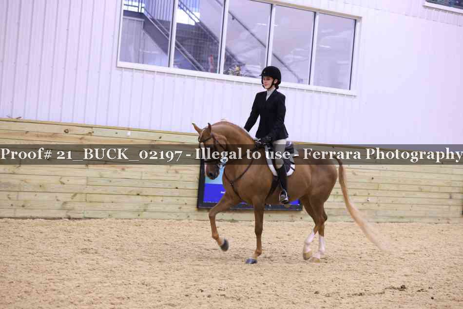 Proof 21_BUCK_02197