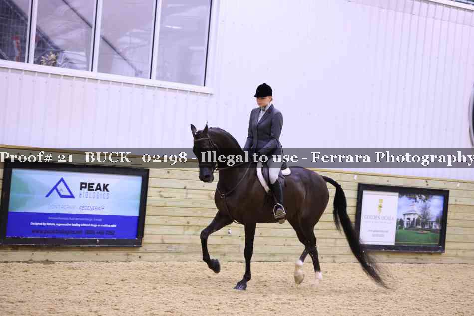 Proof 21_BUCK_02198