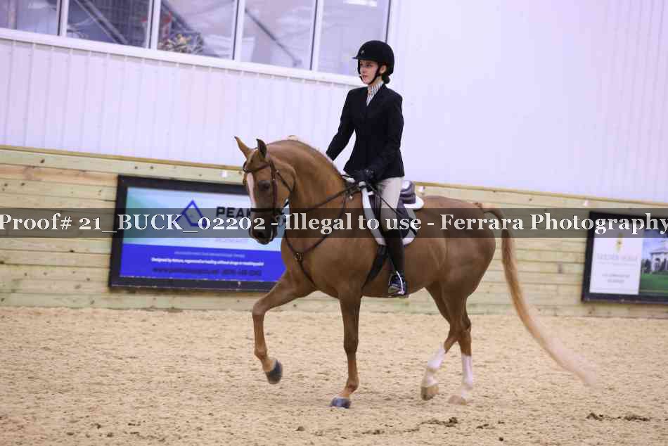 Proof 21_BUCK_02202