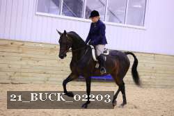 21_BUCK_02203 proof