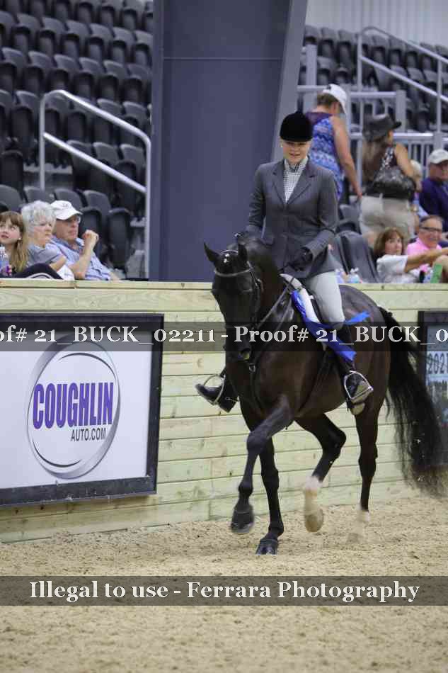 Proof 21_BUCK_02211