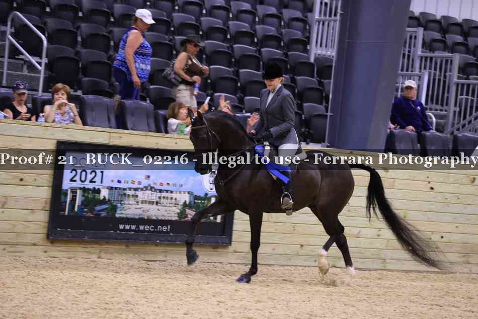 Proof 21_BUCK_02216