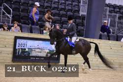 21_BUCK_02216 proof