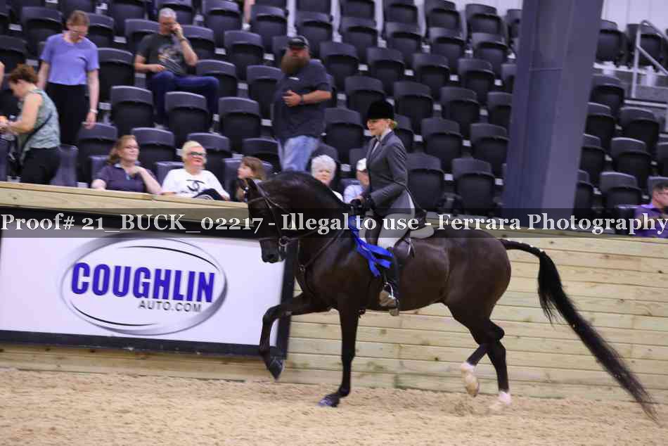 Proof 21_BUCK_02217