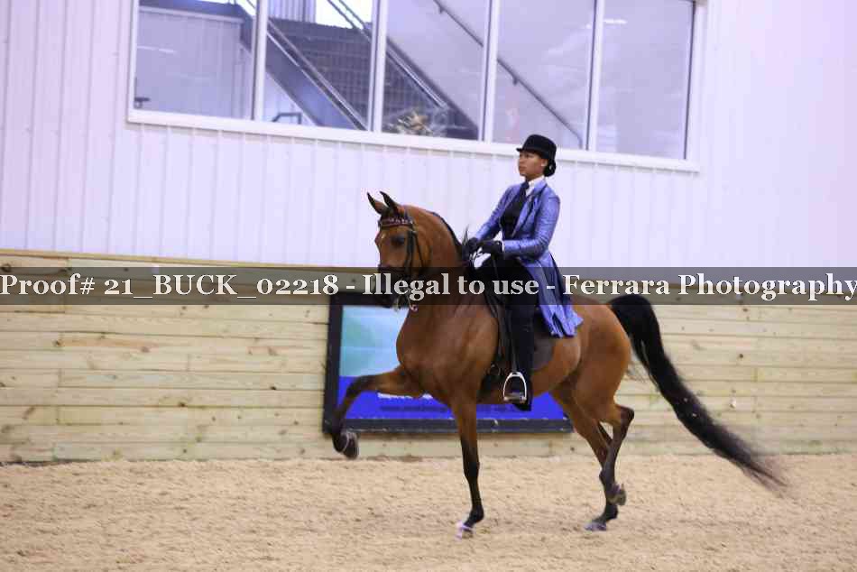 Proof 21_BUCK_02218