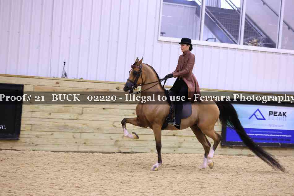 Proof 21_BUCK_02220