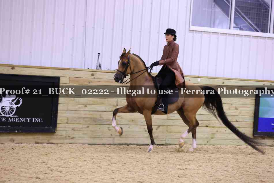 Proof 21_BUCK_02222