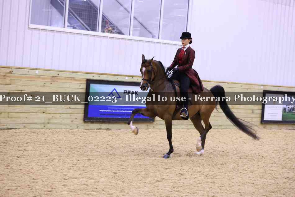 Proof 21_BUCK_02223