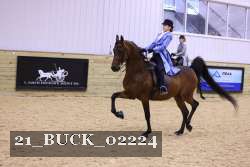 21_BUCK_02224 proof