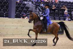 21_BUCK_02226 proof