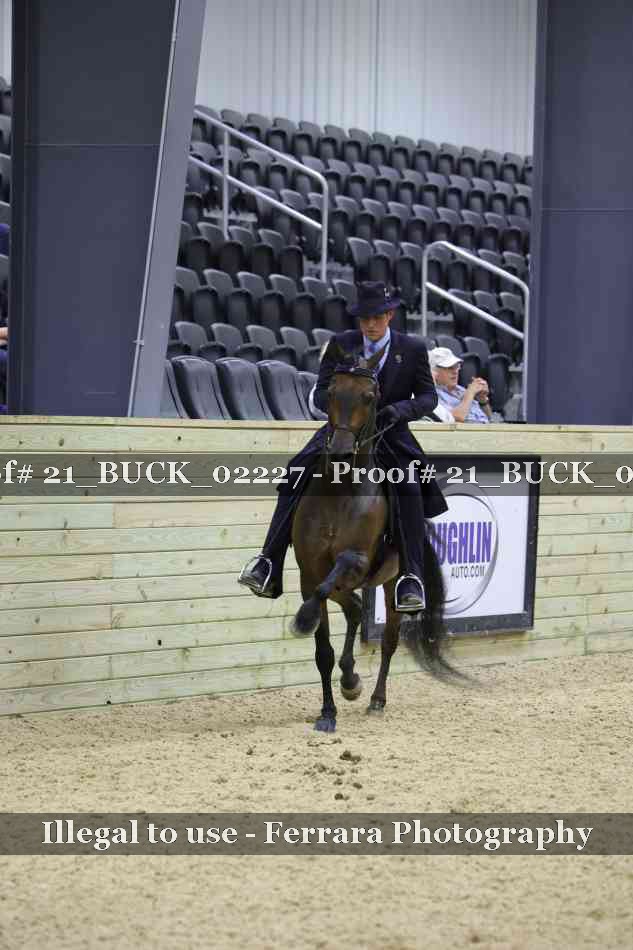 Proof 21_BUCK_02227