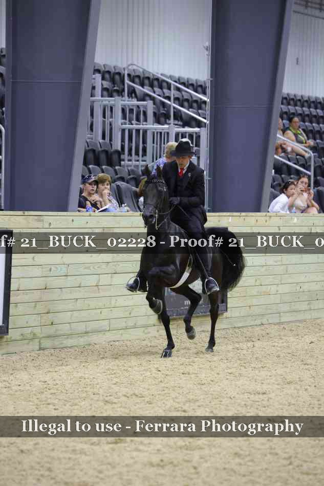 Proof 21_BUCK_02228