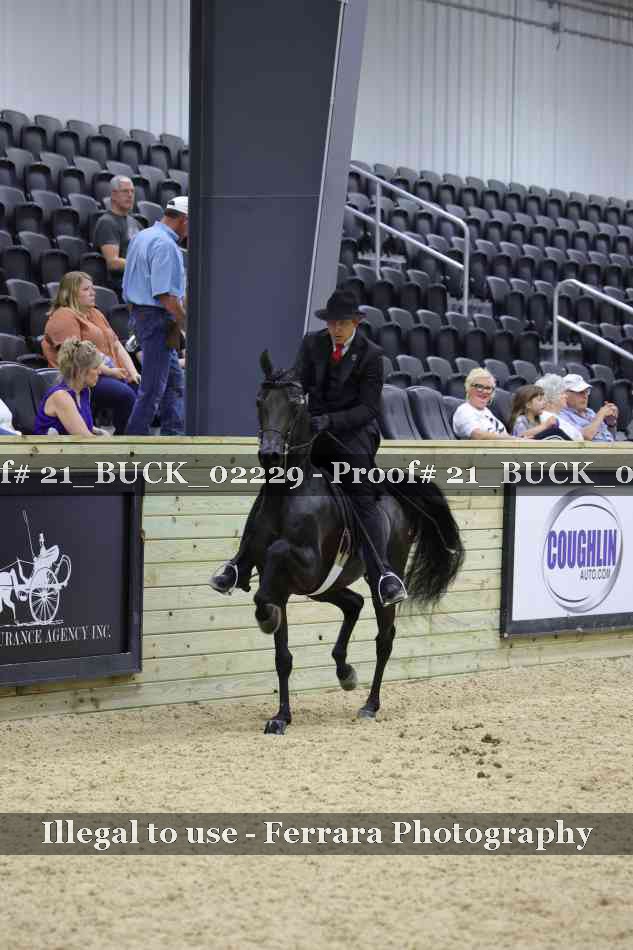 Proof 21_BUCK_02229