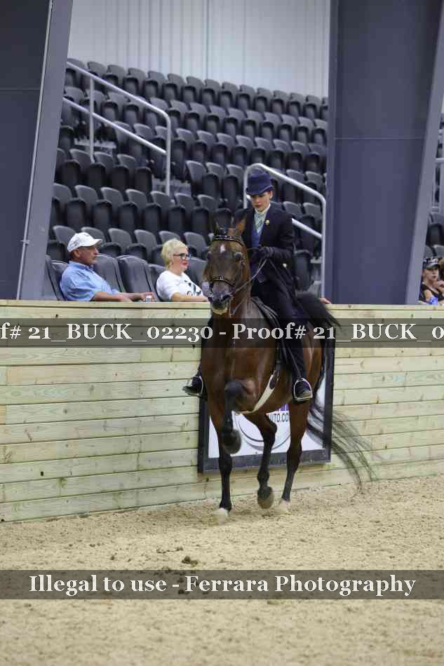 Proof 21_BUCK_02230