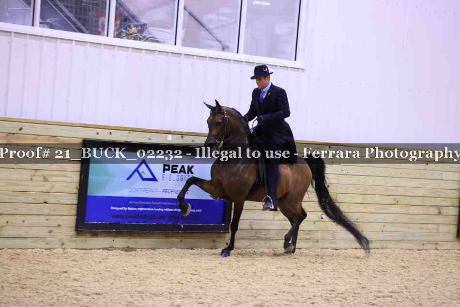 Proof 21_BUCK_02232