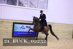 21_BUCK_02232 proof