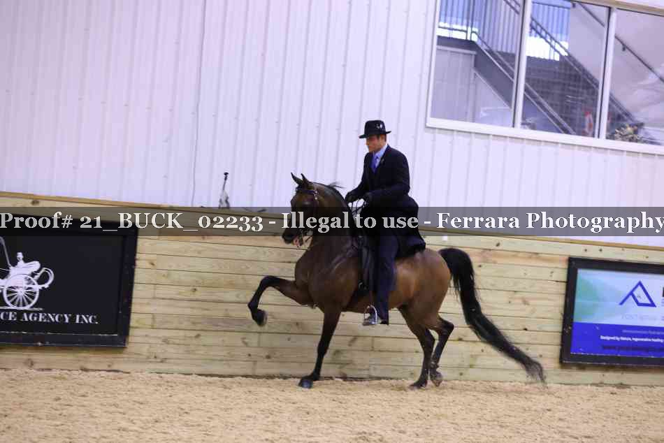 Proof 21_BUCK_02233