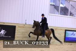 21_BUCK_02233 proof