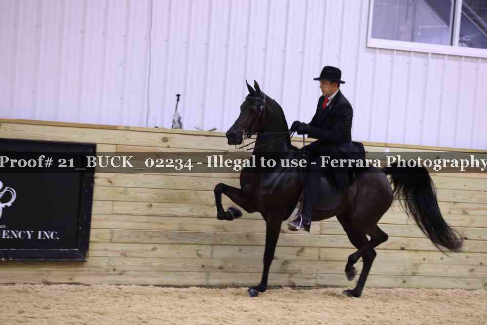 Proof 21_BUCK_02234