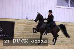21_BUCK_02234 proof