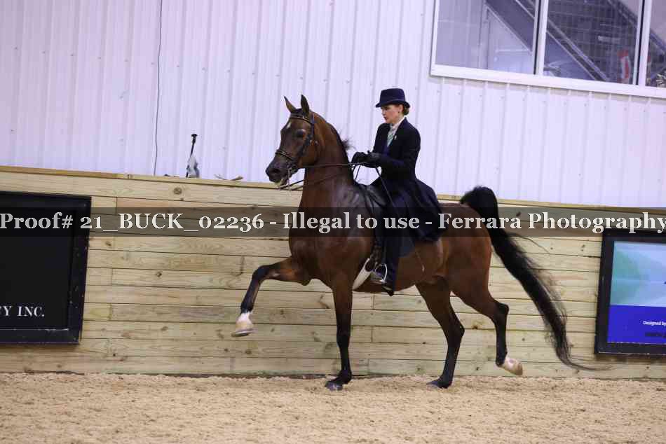 Proof 21_BUCK_02236