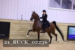 21_BUCK_02236 proof