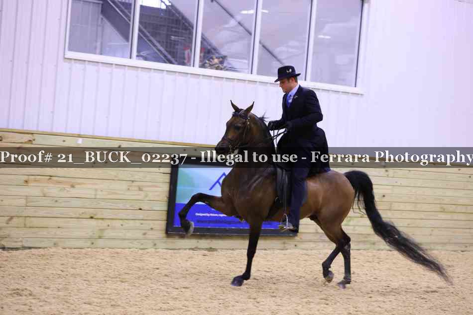 Proof 21_BUCK_02237