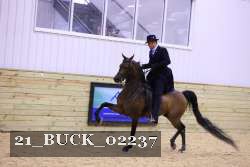 21_BUCK_02237 proof