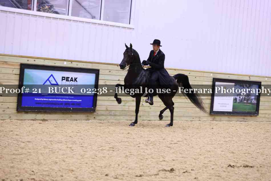 Proof 21_BUCK_02238
