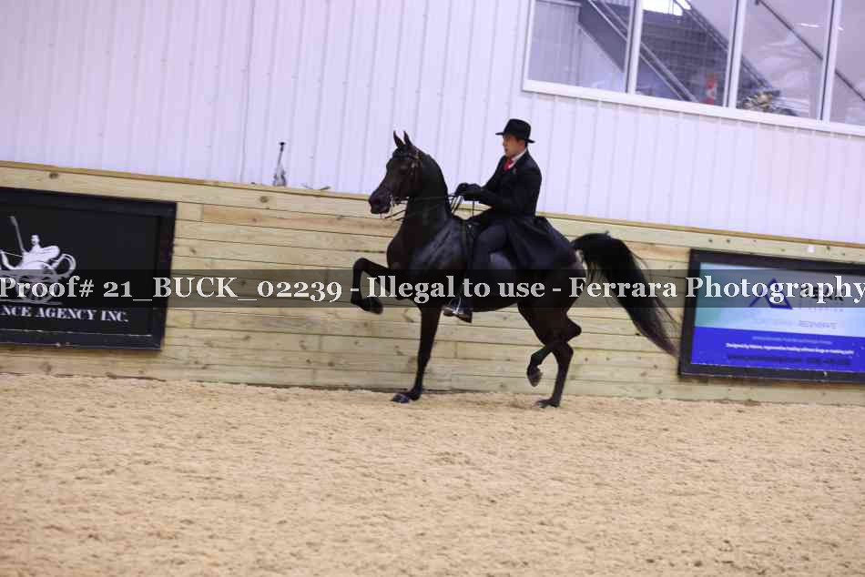 Proof 21_BUCK_02239
