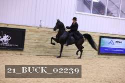21_BUCK_02239 proof