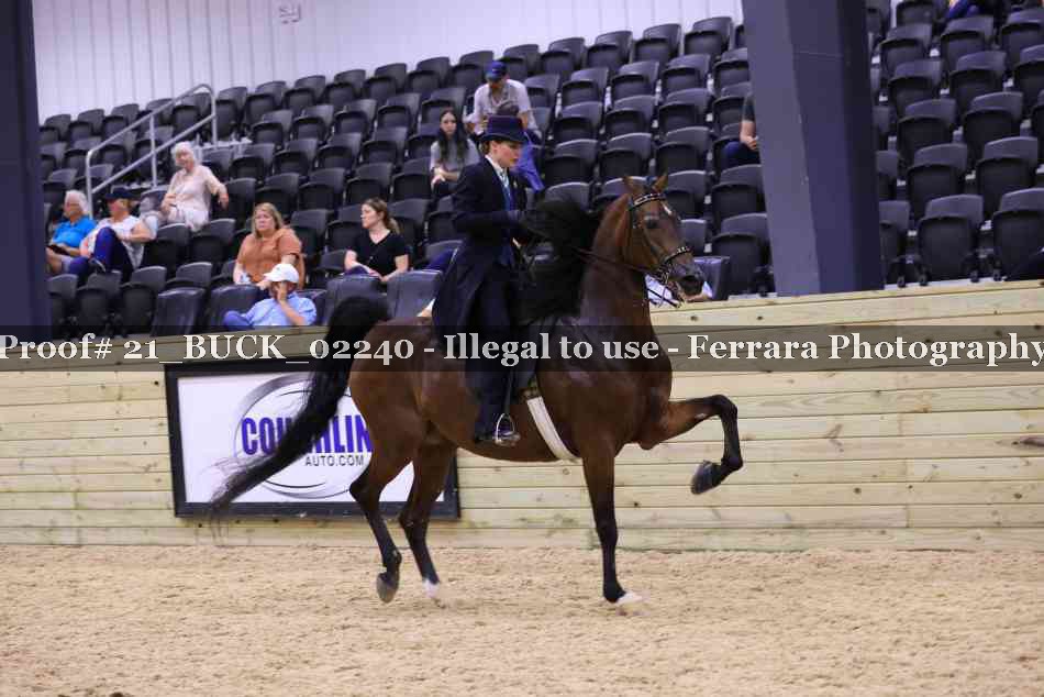 Proof 21_BUCK_02240