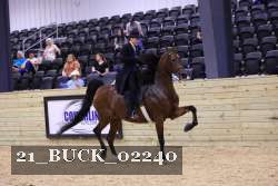 21_BUCK_02240 proof