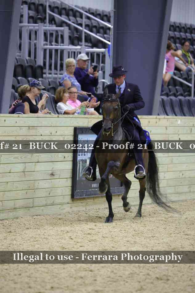 Proof 21_BUCK_02242