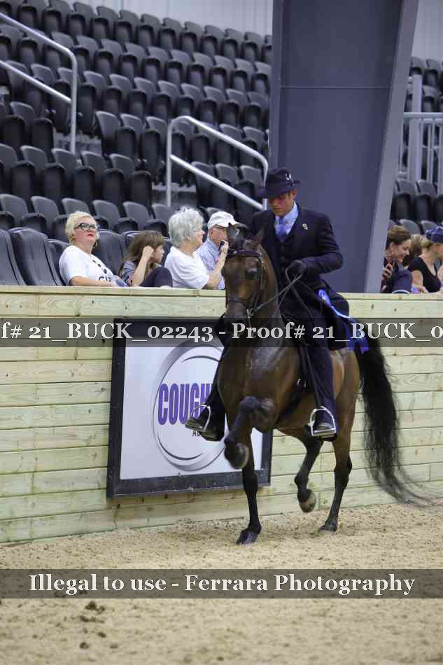 Proof 21_BUCK_02243