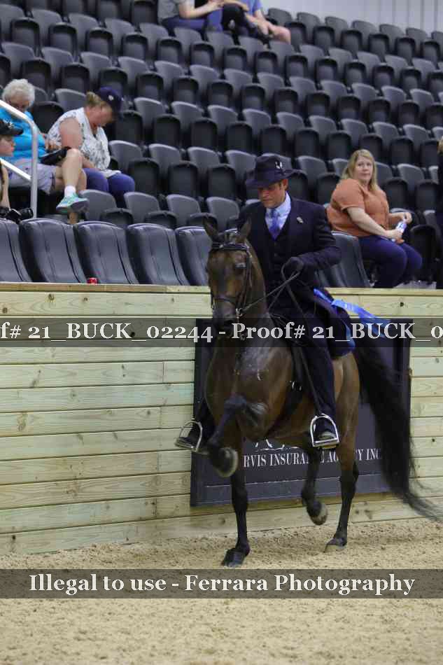 Proof 21_BUCK_02244