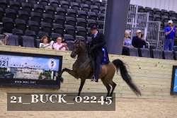 21_BUCK_02245 proof