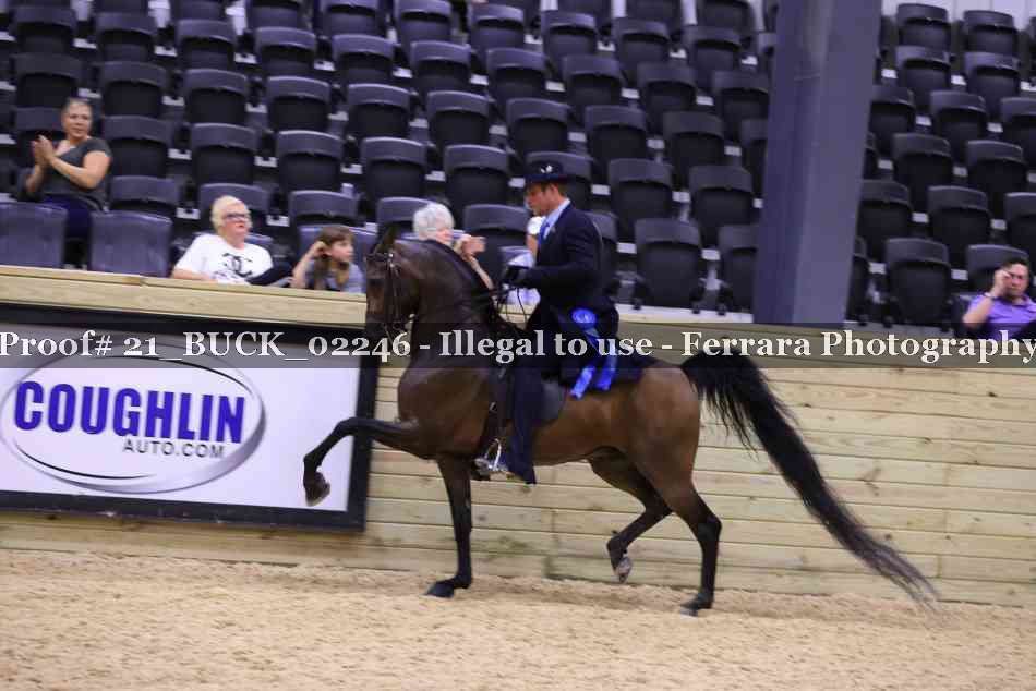 Proof 21_BUCK_02246